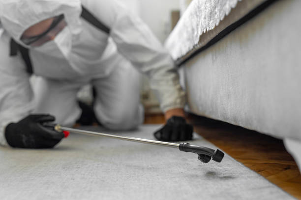 Professional Termite Control technician working in Heyworth, IL