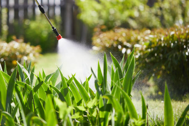 24/7 Emergency Termite Control experts in Heyworth, IL