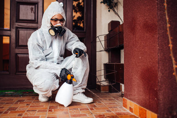Reliable Termite Control contractor in Heyworth, IL by Nex Pest Control