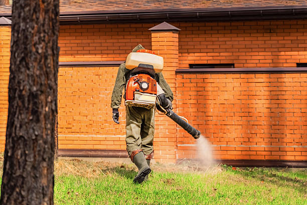 Top rated local Termite Control specialists in Heyworth, IL